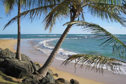 Comfortable and Affordable Deal Close to Beach and Rainforest in Rio Grande