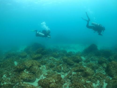 Pousada Aquamaster Dive Center