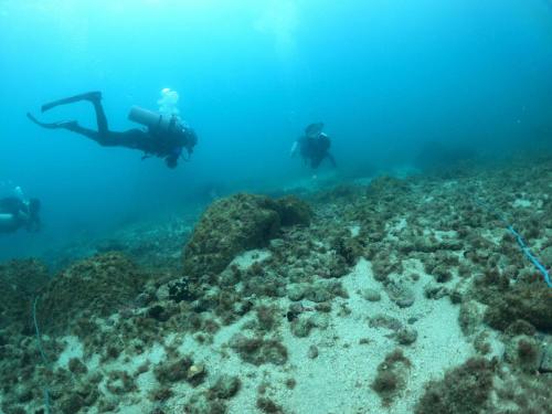 Pousada Aquamaster Dive Center