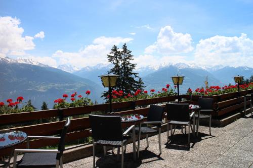 Hotel Zodiaque - image 13