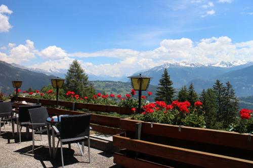 Hotel Zodiaque - image 12