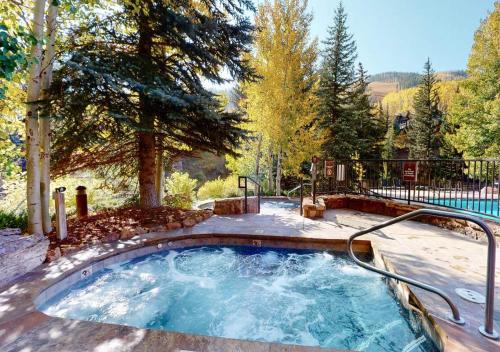 Lion Square Lodge Condos by MC Luxury Rentals - image 9
