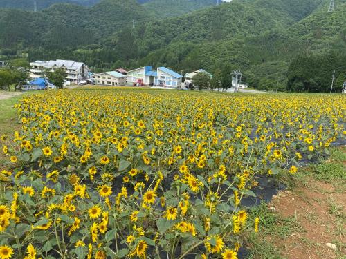 花緑里-Hanamidori-乙原のやど 岐阜下呂温泉郡上飛騨金山湖畔リゾート