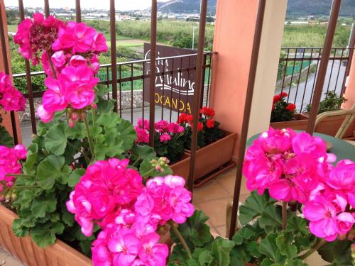 Giu Al Mulino B&B - image 5
