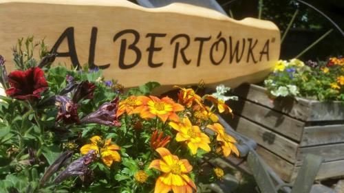 Albertówka (Albertowka) in Serczineka