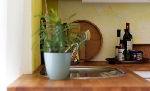 Souterrainwohnung mit großem Garten und Sauna, Kassel (zdjęcie 10)