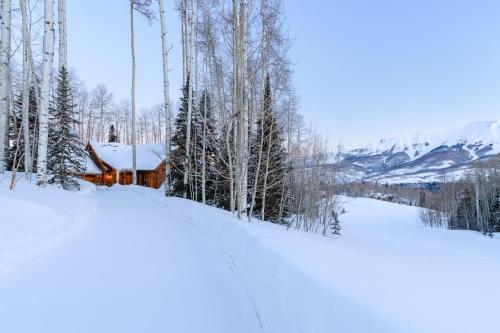 Snowdrift Cabin by Alpine Lodging Telluride - image 4