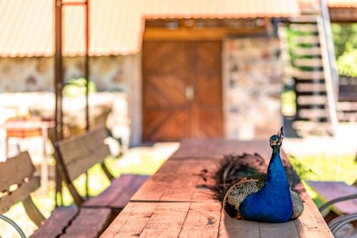 Taujėnų dvaro svečių namai Taujėnų dvaro svečių namai