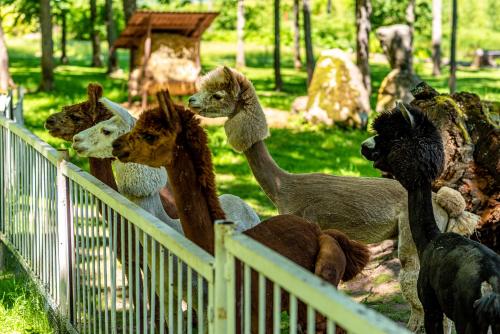 Taujėnų dvaro svečių namai Taujėnų dvaro svečių namai