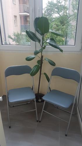 Erkély/terasz, Bulevar NS - Stan u blizini železnike stanice i Sajma (Bulevar NS - Stan u blizini zeleznike stanice i Sajma) in Banatić