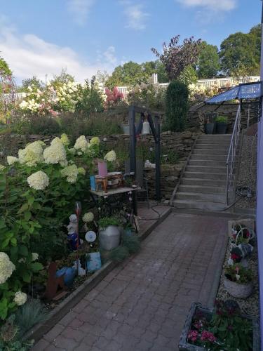 Im Erzgebirge Wandern, Fahrrad fahren oder entspannen in 埃倫弗里德爾斯多夫