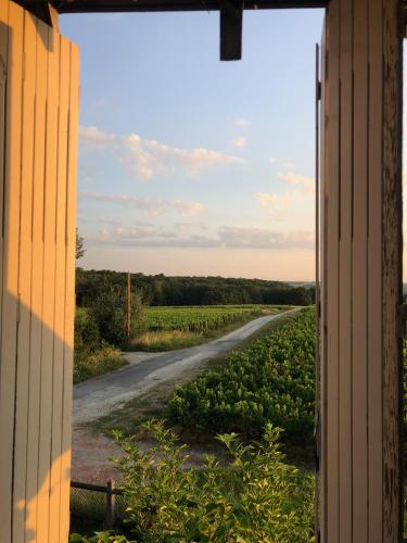 Au Coeur des Vignes