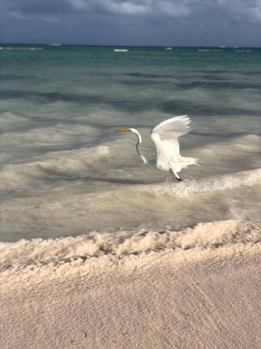 Beach WIFI electricity RELAX GrEAT EXPERIENCe
