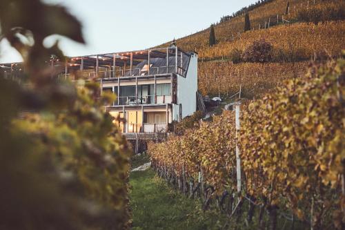 319202260 Haller Suites & Restaurant