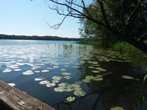 Gościniec Molo - image 9
