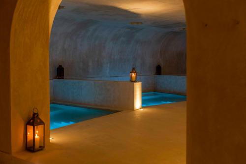 Cigueña Negra Ecologic