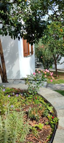 Aeolos Hotel & Villas - Pelion - image 8