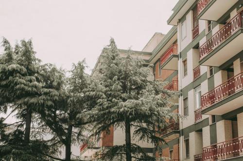 B&B La Casa Pugliese - image 13