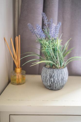 House close to kings cross - image 2