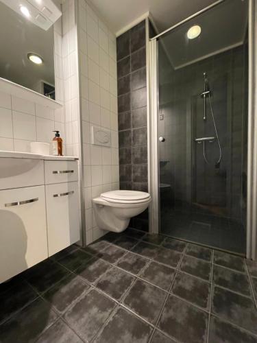 Novatind - Studio apartment with free parking, Narvik (foto 5)