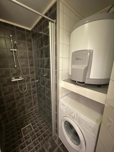Novatind - Studio apartment with free parking, Narvik (foto 6)