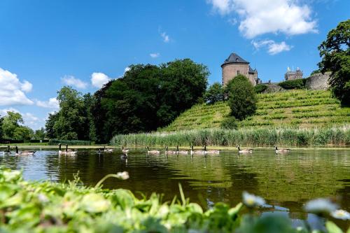 Holiday Home L'O Reine - with luxury wellness