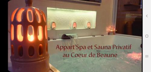 Appart' Spa et Sauna Privatif Au Cœur De Beaune - Apartment