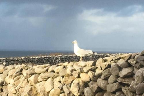 Apartment on Wild Atlantic Way