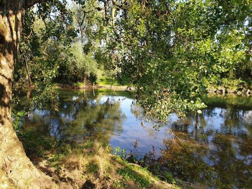 Écrin de Nature en bord de rivière