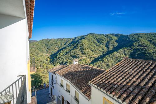 Calle La Cruz - Apartment - Jubrique