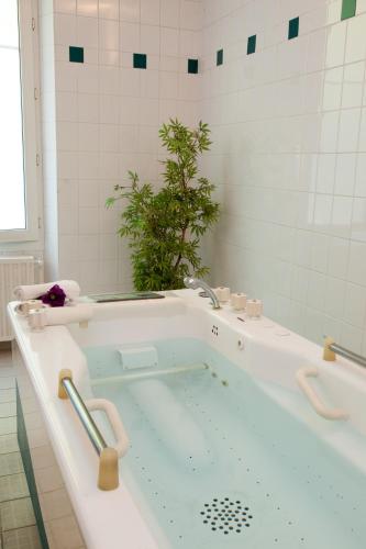 Hotel Cosmos & Spa - 온수 욕조