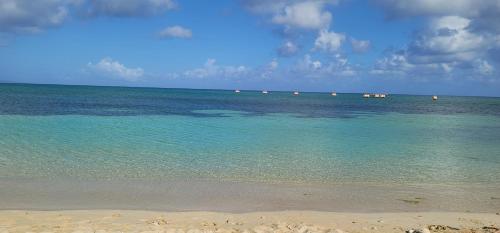 plage, Airport Beach Hotel in Montego Bay
