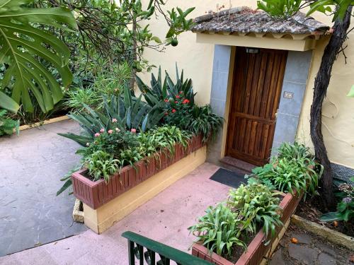 Entrada, Casa Rural de Tio Felix in Vega de San Mateo