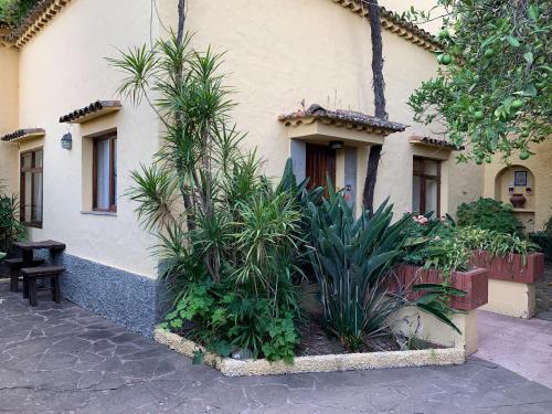 Entrada, Casa Rural de Tio Felix in Vega de San Mateo