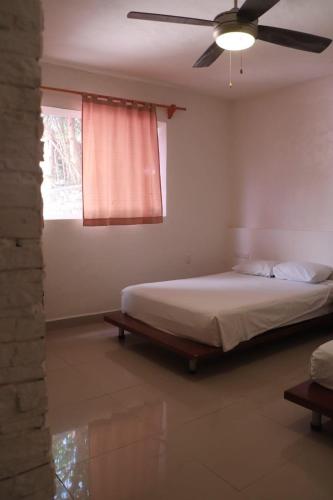 Casa Oved Levy