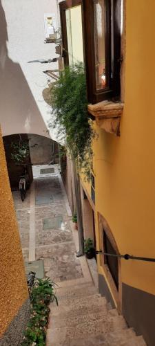 Apartment Lucija 5
