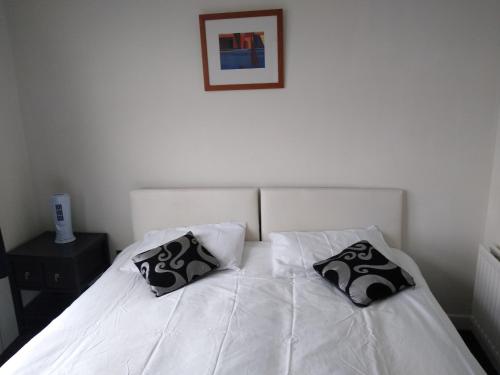 Room in Luxurious Penthouse Apartment, Londýn (fotografie 9)