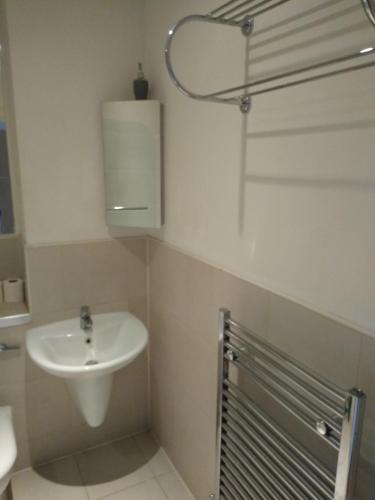 Room in Luxurious Penthouse Apartment, Londýn (fotografie 6)