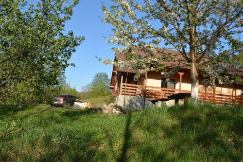 House in the Forest