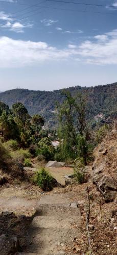 2BHK Furnished Apartment/Near Kasauli/Barog/Luv Fun & Adventure