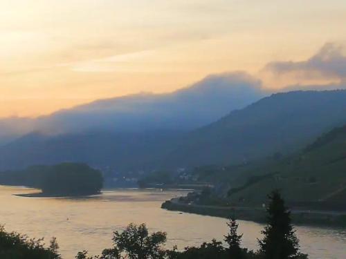 Wunderschone Aussicht garantiert Trechtingshausen