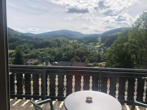 App mit Seeblick am Hillebachsee in Winterberg OT in Niedersfeld