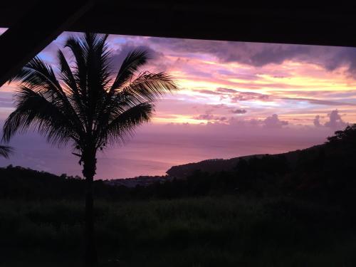 TropicAngel ECOLODGE de Charme