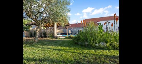 Dārzs, Olive Tree House with Jacuzzi, WiFi and 40m2 pool in Širitovci