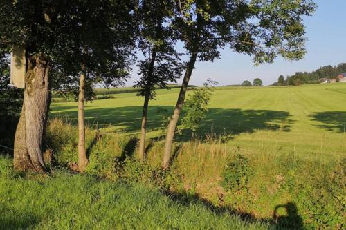 Ruhige Ferienwohnung inkl. Garten im Unterallgäu