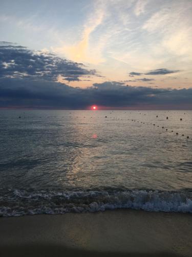 Clos des Vignes Pampelonne Vineyard - image 11