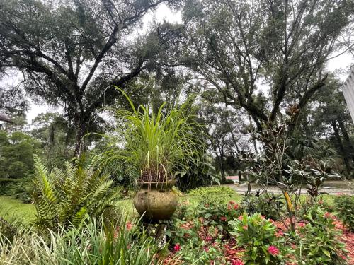 The Ann Stevens House in Cassadaga, USA