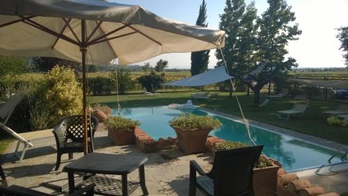Úszómedence, Villa il Giuggiolo villa in Tuscany in Montalla