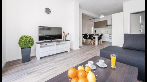 Iekārtas, Olive Tree House with Jacuzzi, WiFi and 40m2 pool in Širitovci