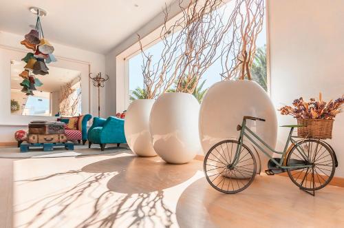 Mareta Beach - Boutique Bed & Breakfast - image 13